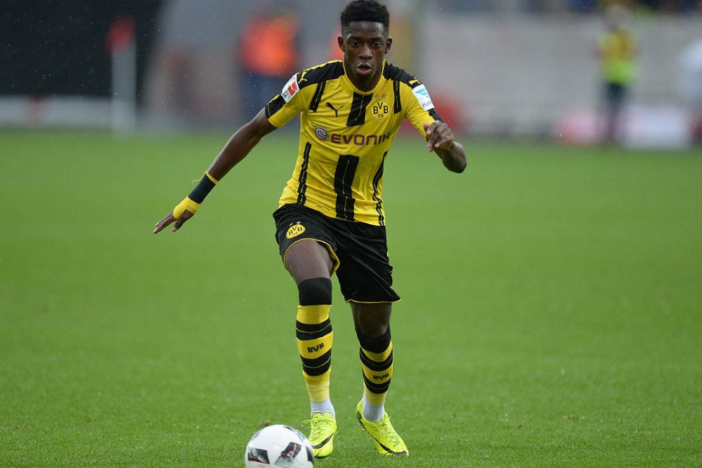 中起到了至 中起到了至